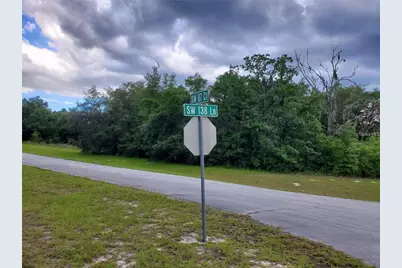 8650 SW 138 Lane, Ocala, FL 34473 - Photo 3