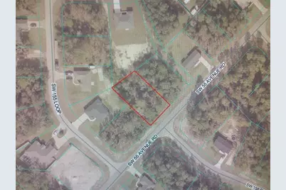 Sw 55 Avenue Road, Ocala, FL 34473 - Photo 3