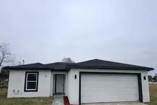 50 Walnut Run, Ocala, FL 34480 - Photo 1