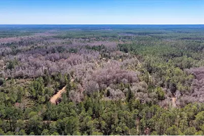 60 Acres NW Clyatt Road, Chiefland, FL 32626 - Photo 55
