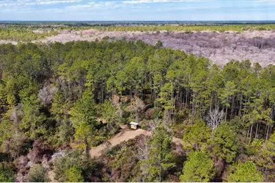 60 Acres NW Clyatt Road, Chiefland, FL 32626 - Photo 53