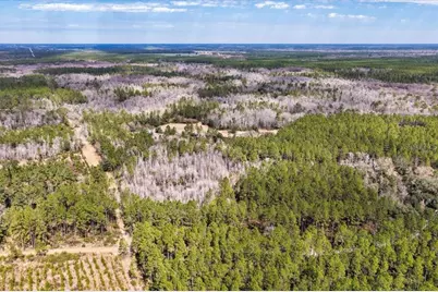 60 Acres NW Clyatt Road, Chiefland, FL 32626 - Photo 41