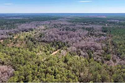 60 Acres NW Clyatt Road, Chiefland, FL 32626 - Photo 59