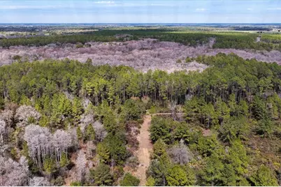 60 Acres NW Clyatt Road, Chiefland, FL 32626 - Photo 51