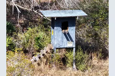 60 Acres NW Clyatt Road, Chiefland, FL 32626 - Photo 35