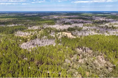 60 Acres NW Clyatt Road, Chiefland, FL 32626 - Photo 43
