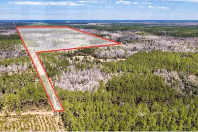 60 Acres NW Clyatt Road, Chiefland, FL 32626 - Photo 1