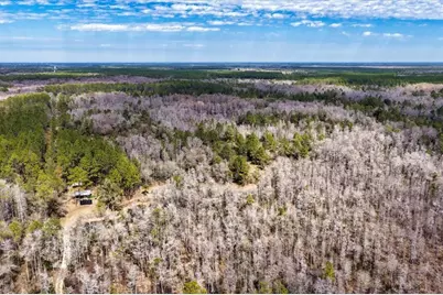 60 Acres NW Clyatt Road, Chiefland, FL 32626 - Photo 45