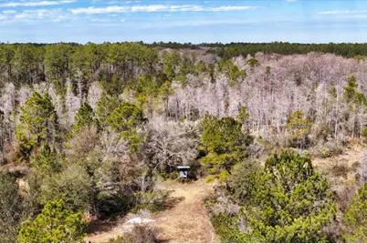60 Acres NW Clyatt Road, Chiefland, FL 32626 - Photo 47