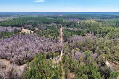 60 Acres NW Clyatt Road, Chiefland, FL 32626 - Photo 67