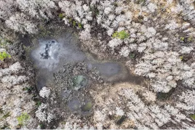 60 Acres NW Clyatt Road, Chiefland, FL 32626 - Photo 63