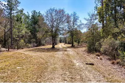 60 Acres NW Clyatt Road, Chiefland, FL 32626 - Photo 15