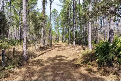 60 Acres NW Clyatt Road, Chiefland, FL 32626 - Photo 3