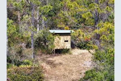 60 Acres NW Clyatt Road, Chiefland, FL 32626 - Photo 37