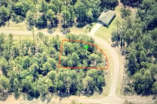 6684 N Waterman Dr, Dunnellon, FL 34433 - Photo 1
