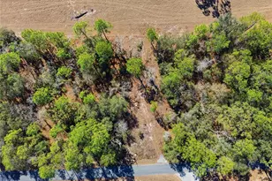 24456 SW Tiger Lake Blvd W, Dunnellon, FL 34431 - Photo 1