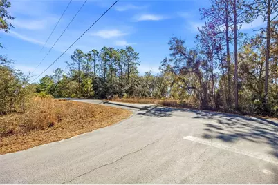 24456 SW Tiger Lake Boulevard W, Dunnellon, FL 34431 - Photo 11