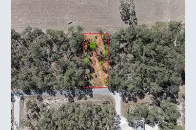 24456 SW Tiger Lake Boulevard W, Dunnellon, FL 34431 - Photo 5