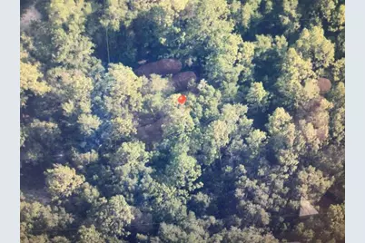 0 SW 153 Lane, Dunnellon, FL 34432 - Photo 5