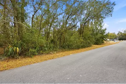 Lot 3 SW 95th Place, Ocala, FL 34476 - Photo 3