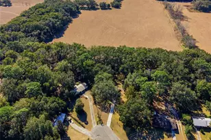 16564 NE 25 Ln, Williston, FL 32696 - Photo 35