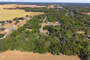 16564 NE 25 Ln, Williston, FL 32696 - Photo 37