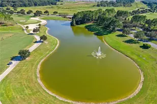 9735 SW 76th Lane Rd, Ocala, FL 34481 - Photo 47