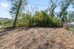 16302 SE 57th St, Ocklawaha, FL 32179 - Photo 61