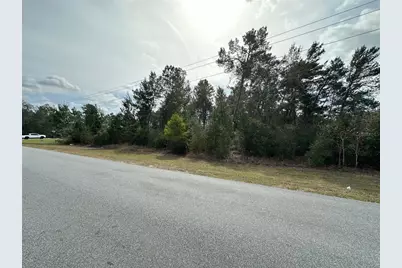 0 SW 110th Street, Ocala, FL 34476 - Photo 3