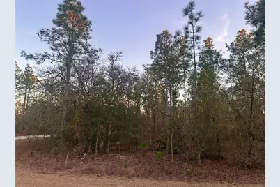 0000 SW 130th Terrace, Dunnellon, FL 34434 - Photo 7