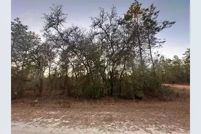 0000 SW 130th Terrace, Dunnellon, FL 34434 - Photo 3