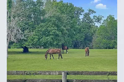 5378 W Highway 329, Reddick, FL 32686 - Photo 5