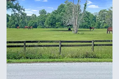 5378 W Highway 329, Reddick, FL 32686 - Photo 3