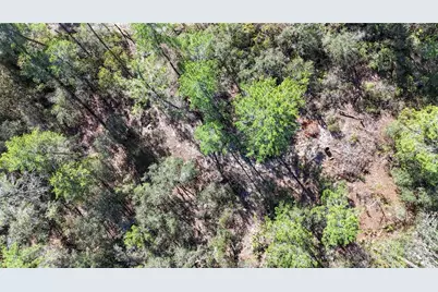 6646 N Percale Terrace, Dunnellon, FL 34433 - Photo 19