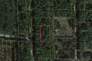 0000 NE 65th Ct, Citra, FL 32113 - Photo 1