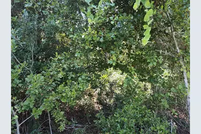 0000 NE 65th Court, Citra, FL 32113 - Photo 7