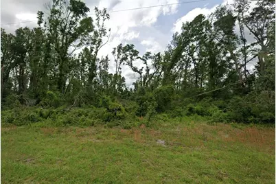 00 SW Doe Road, Mayo, FL 32066 - Photo 1