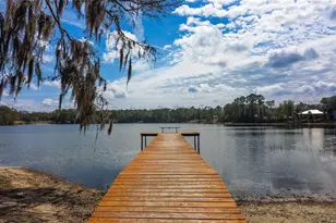 727 NE 130th Terrace, Silver Springs, FL 34488 - Photo 59