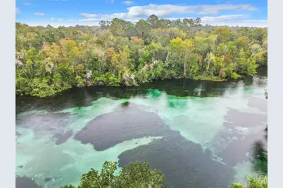 20707 Park Avenue, Dunnellon, FL 34431 - Photo 61