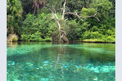 20707 Park Avenue, Dunnellon, FL 34431 - Photo 63