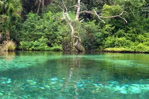 20707 Park Ave, Dunnellon, FL 34431 - Photo 63