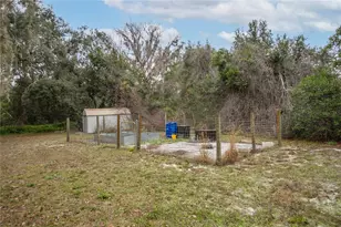 2320 N Dee River Rd, Inverness, FL 34453 - Photo 35