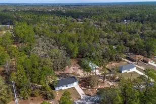 20687 SW 59th Ln, Dunnellon, FL 34431 - Photo 55