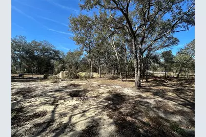 11431 NE 71st Street, Bronson, FL 32621 - Photo 3