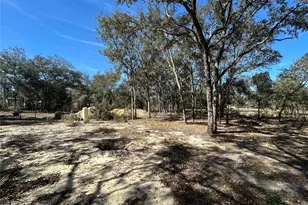 11431 NE 71st St, Bronson, FL 32621 - Photo 3