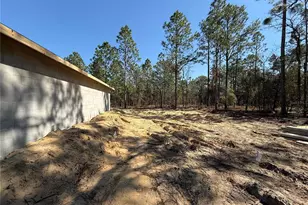 3331 NW Smallwood Rd, Dunnellon, FL 34431 - Photo 3