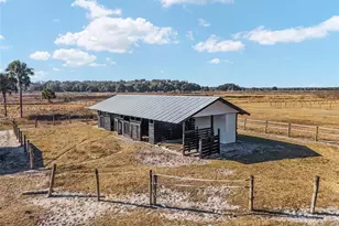 15178 NE 47th Ave, Citra, FL 32113 - Photo 47