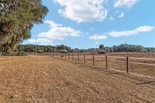 15178 NE 47th Ave, Citra, FL 32113 - Photo 53