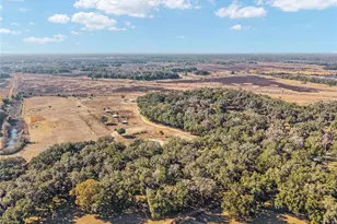 15178 NE 47th Ave, Citra, FL 32113 - Photo 87