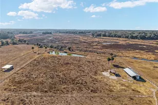 15178 NE 47th Ave, Citra, FL 32113 - Photo 51